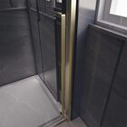 Душевая дверь Premium Trento 1300 Veconi (PTD30-G-130-01-C4)