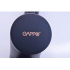 G4390-10 Смеситель для кухни с фильтром д/питьевой воды, черный GAPPO
